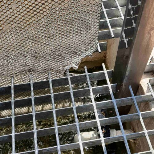 ВАНДАЛИ ПОТРОШИХА ДВЕ ОТ ВОДНИТЕ СТЕНИ НА НОВАТА АЛЕЯ НА УЛИЦА „НИКОЛА ФУРНАДЖИЕВ“ В СЛИВЕН