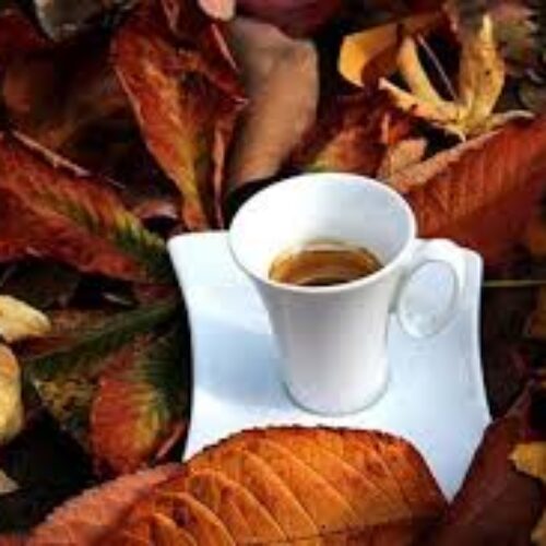 ВИЦОВЕ ЗА СУТРЕШНО КАФЕ