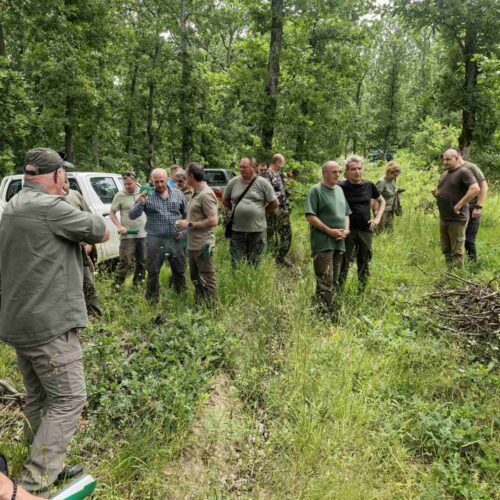 РЕГИОНАЛНО СЪВЕЩАНИЕ ПО СТОПАНИСВАНЕ НА ГОРИТЕ СЕ ПРОВЕДЕ НА ТЕРИТОРИЯТА НА ДГС ЕЛХОВО
