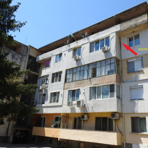 КОЛОНИЯ ОТ ПРИЛЕПИ Е БИЛА ОТКРИТА В БЛОК ПРИ ОБСЛЕДВАНЕ ЗА САНИРАНЕ В СЛИВЕН
