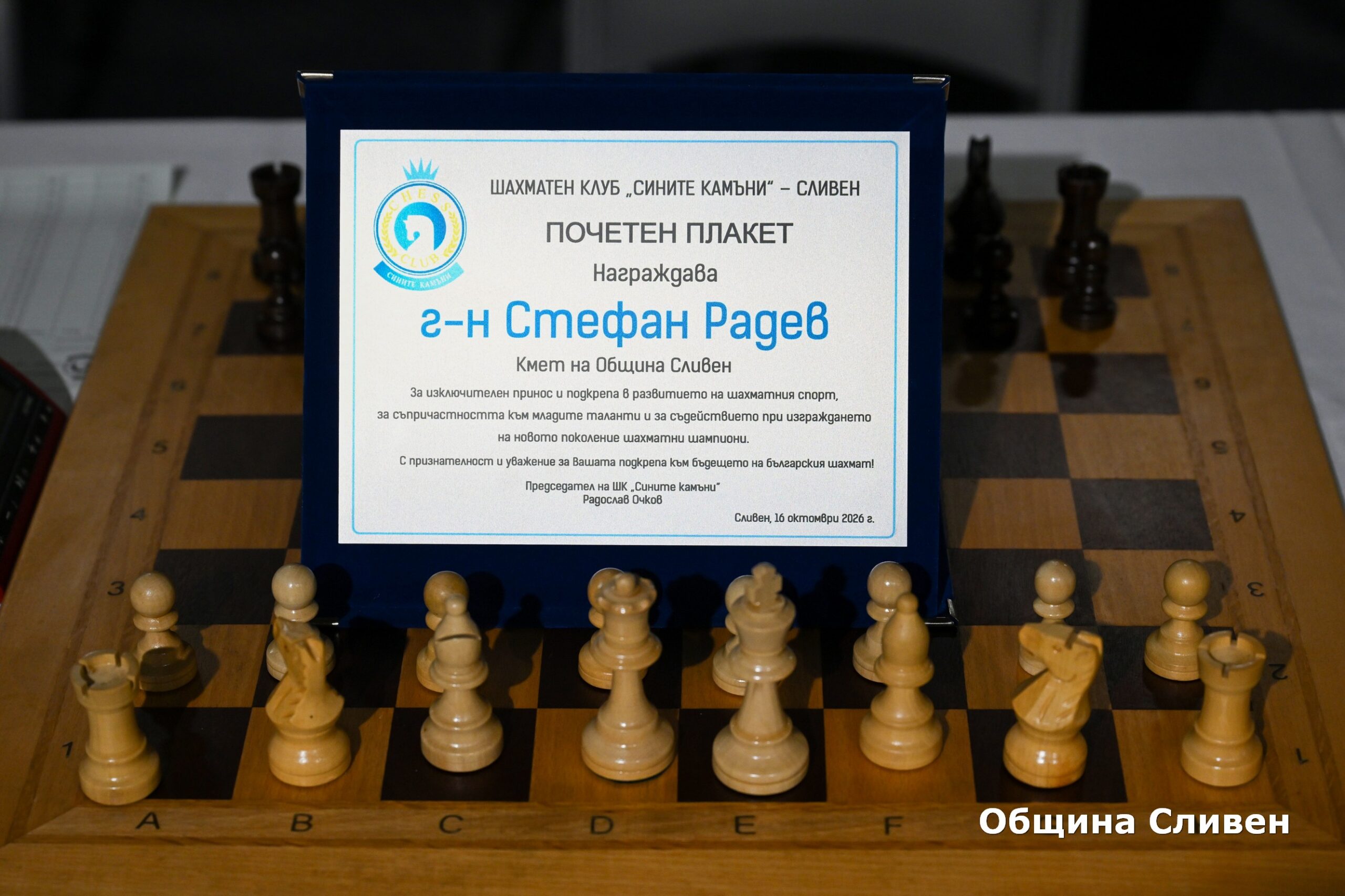 Шахматисти в действие